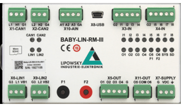 BabyLIN-RM-III_Lipowsky_ISIT