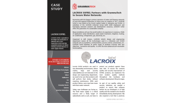 Case Study LACROIX SOFREL - GrammaTech